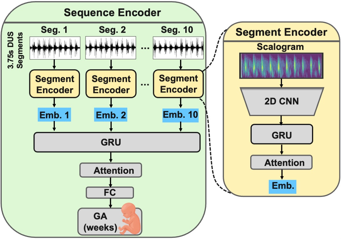 Hierarchical attention model for gestational age (GA) estimation from Doppler signals